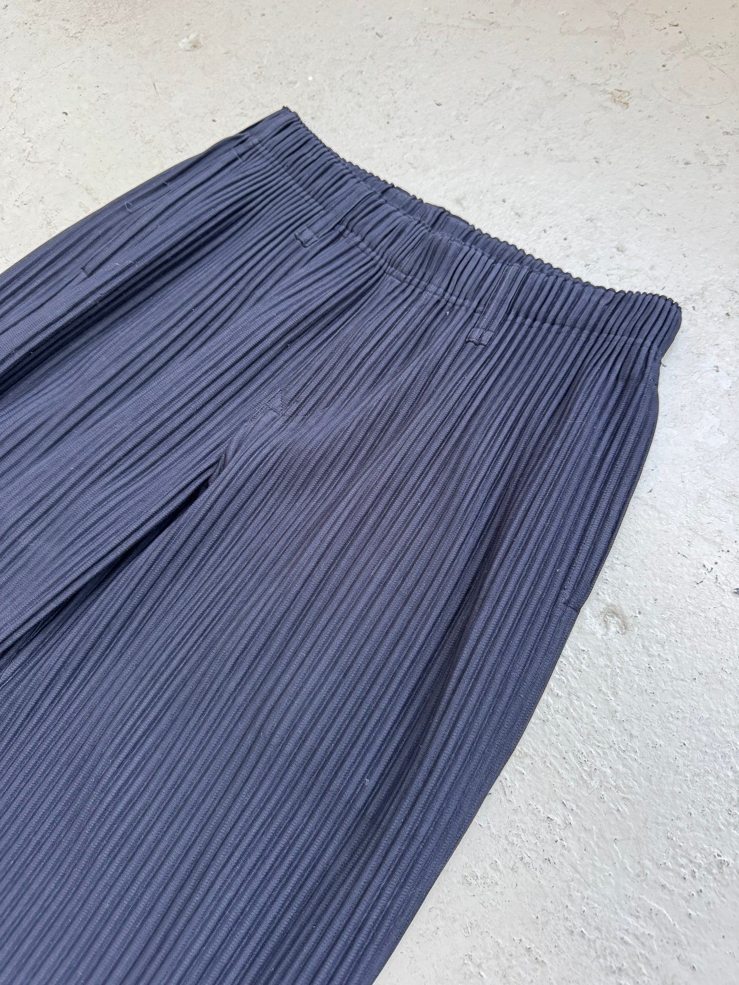 Issey Miyake Homme Plisse Pleats Please Pants (2)