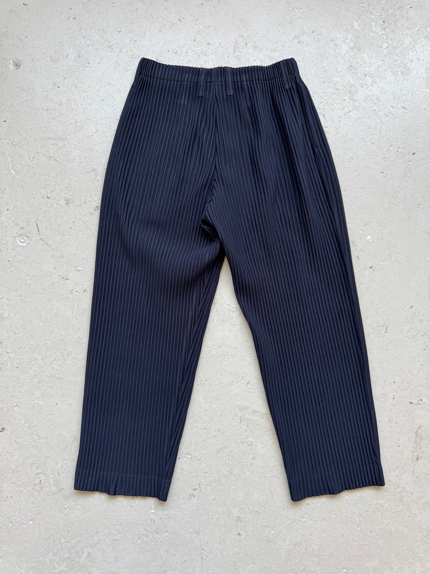 Issey Miyake Homme Plisse Pleats Please Pants (2)