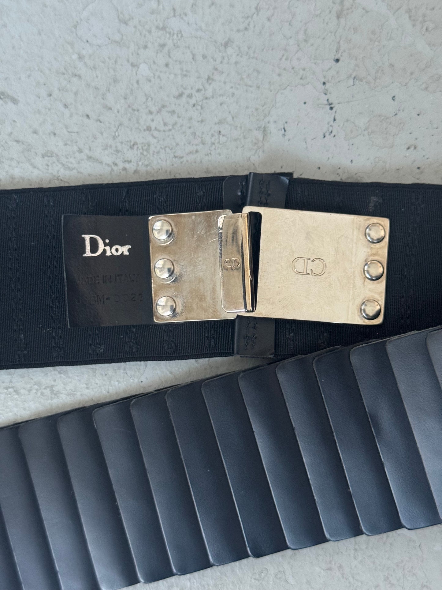 Dior Homme AW03 Scales Leather Belt