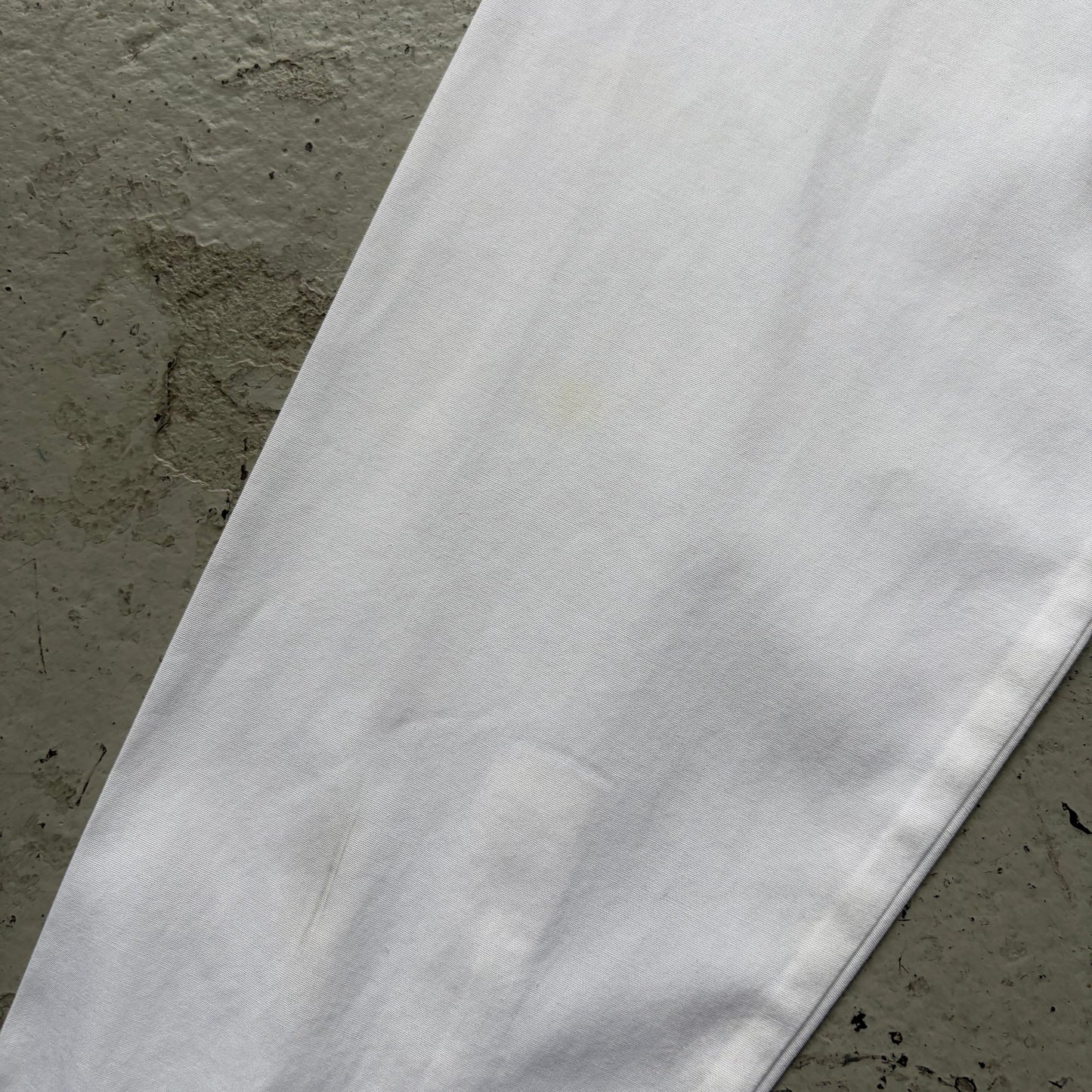 Dior Homme AW06 These Grey Days White Bee Button Up (38)