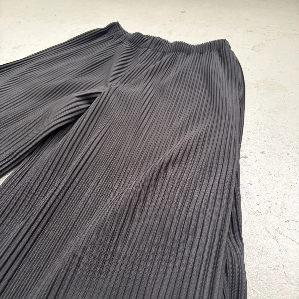 Issey Miyake Homme Plisse Double Layer Pants (3)