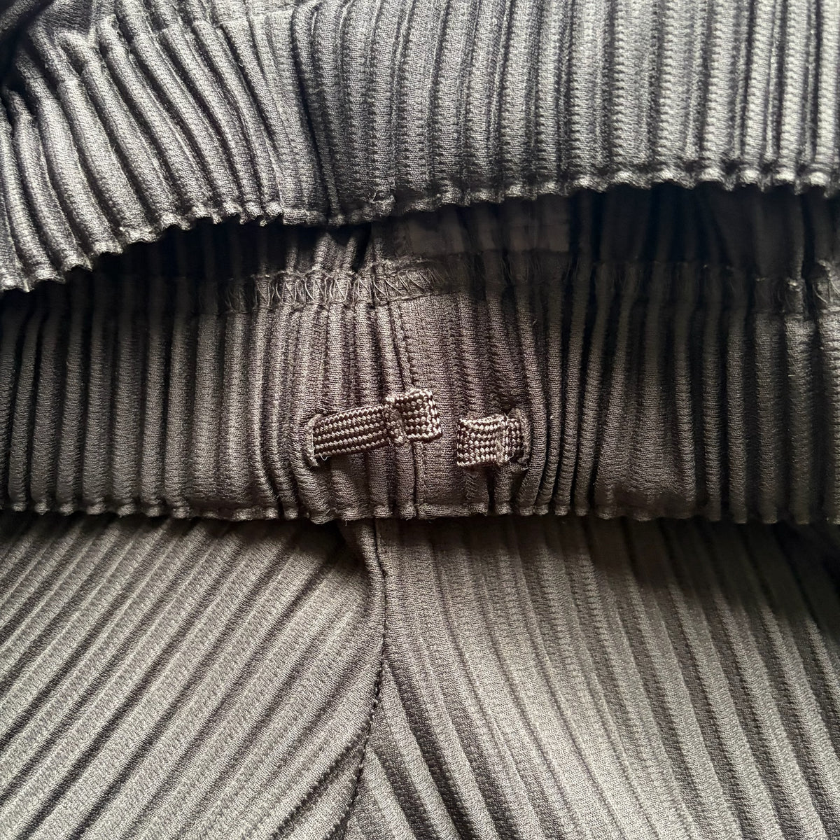 Issey Miyake Homme Plisse Double Layer Pants (3)