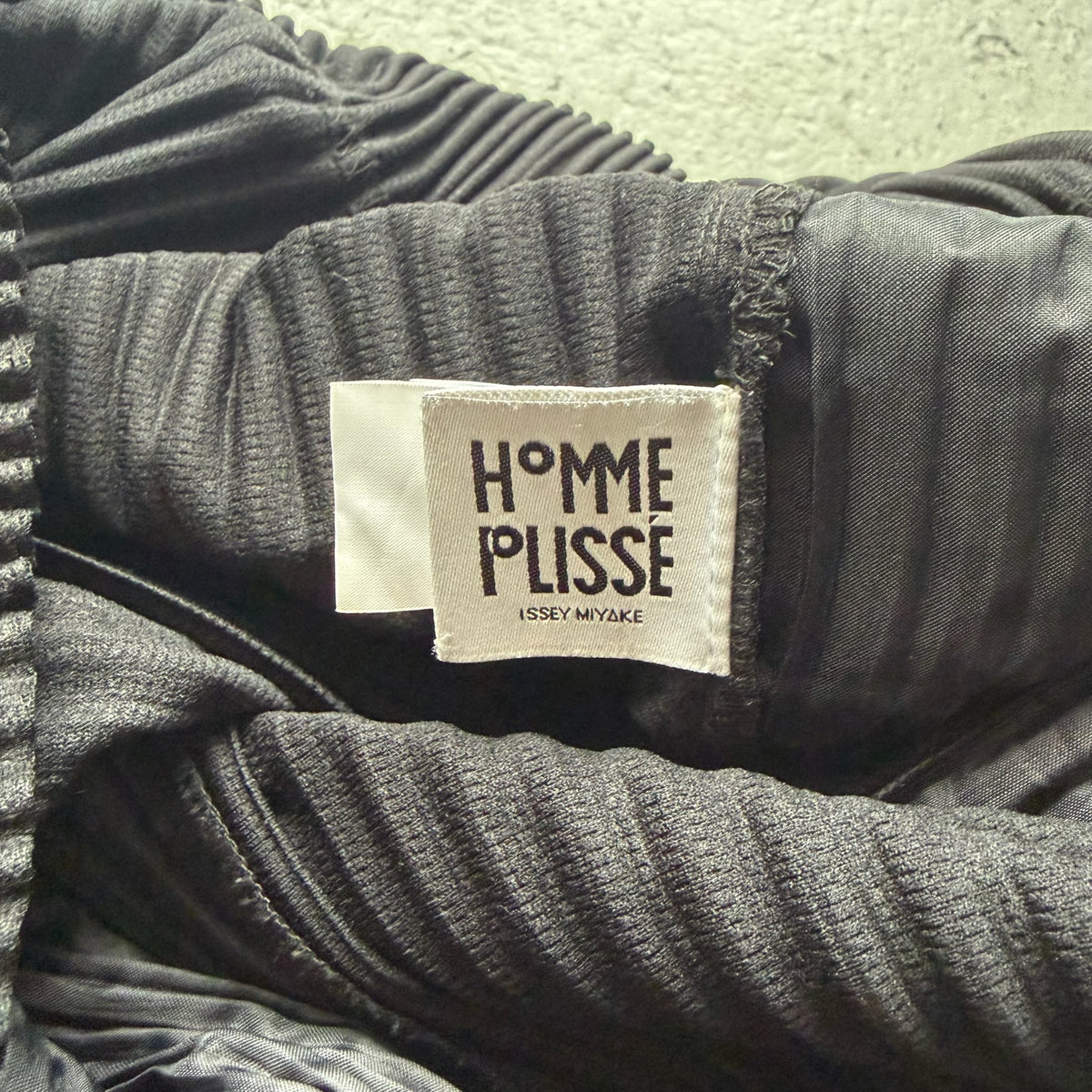 Issey Miyake Homme Plisse Double Layer Pants (3)