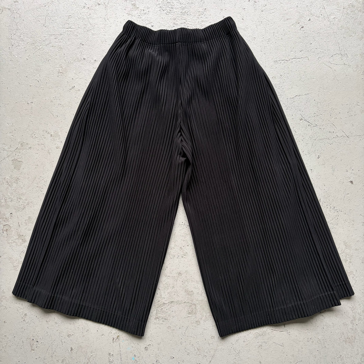 Issey Miyake Homme Plisse Double Layer Pants (3)