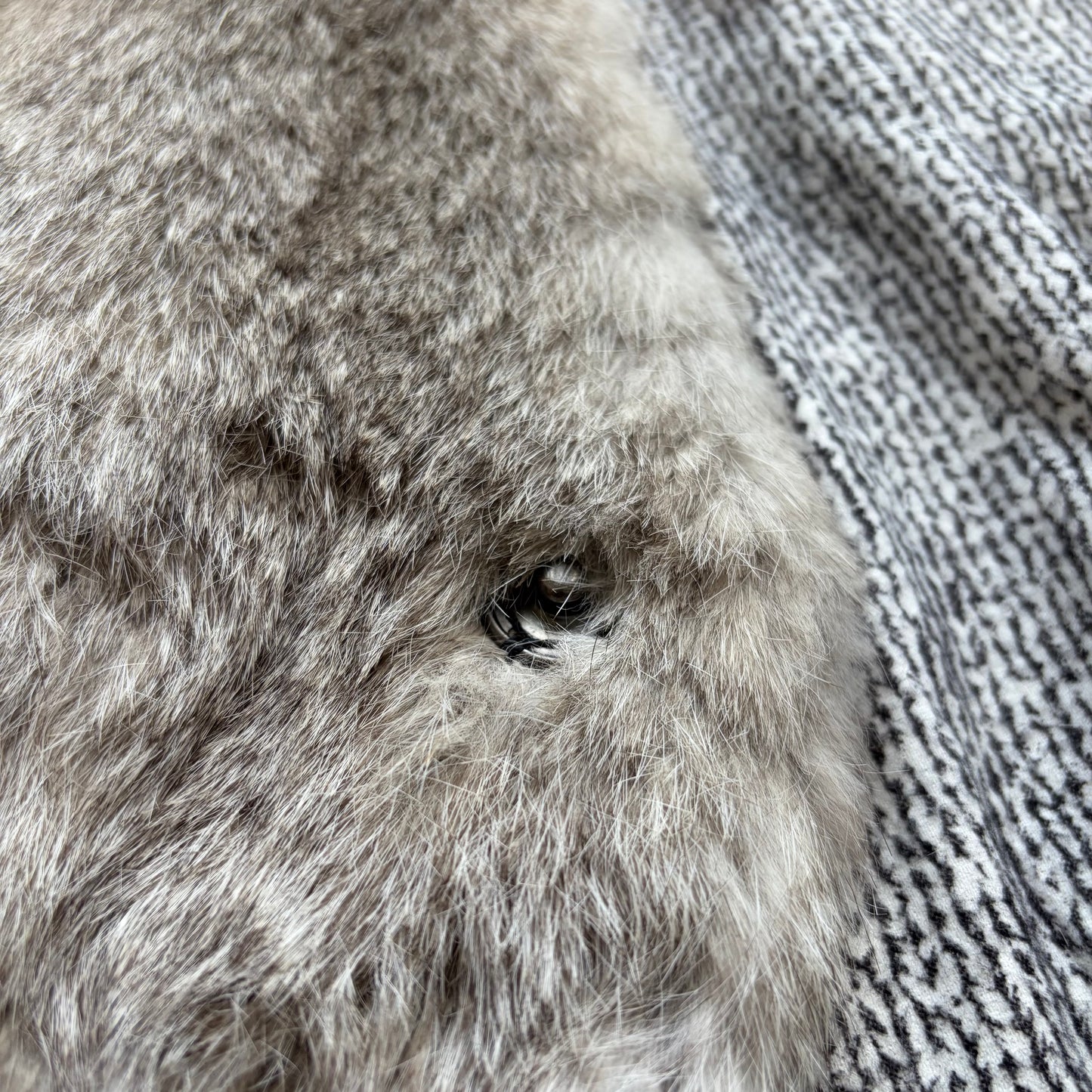 Number (N)ine FW07 Rabbit Fur Vest (3)