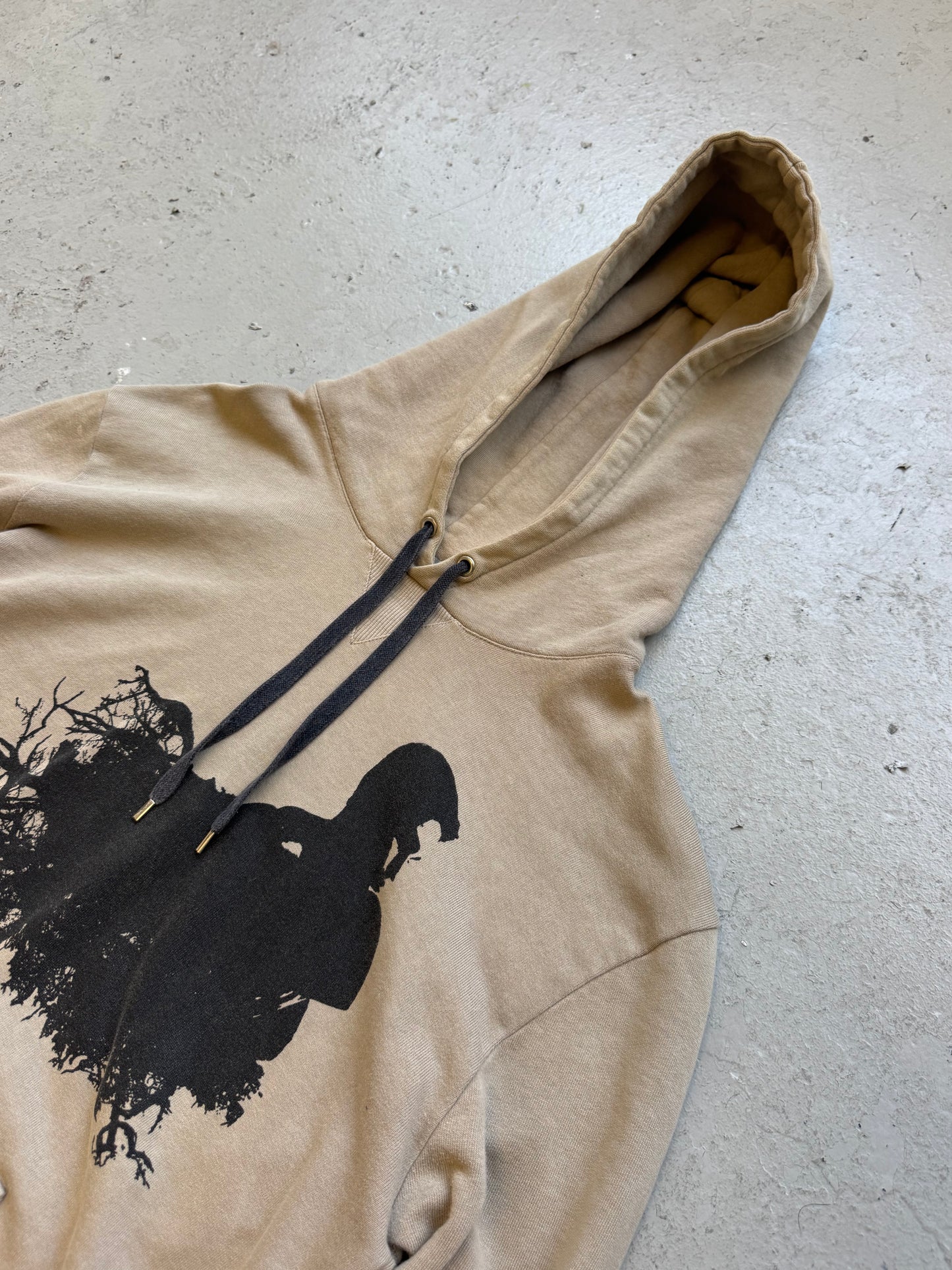 Dior Homme SS07 Boy in the Forest Hoodie (S)