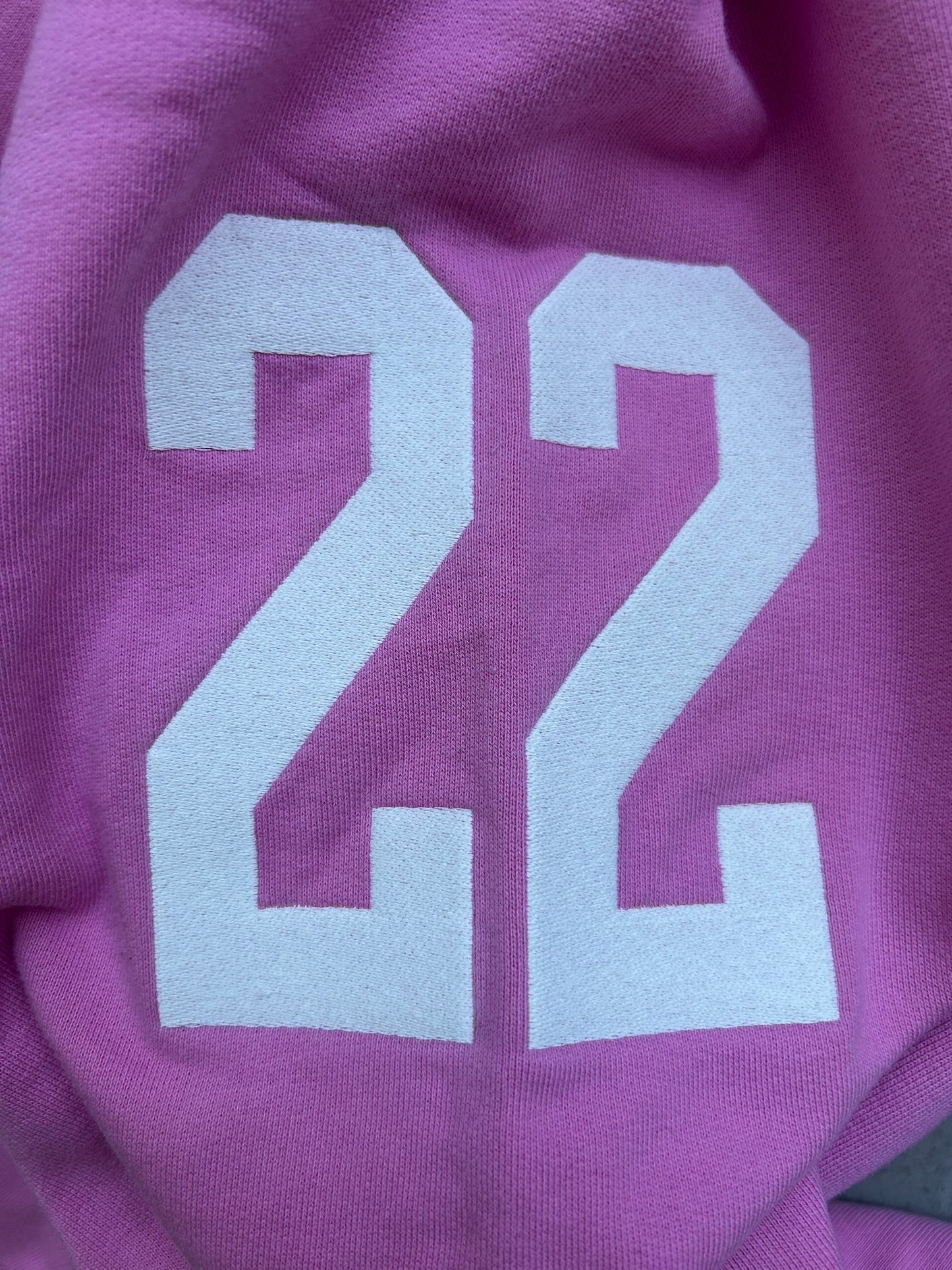 Balenciaga Pink Polo Zip Up Hoodie (L)
